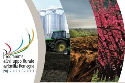 Agricoltura e sviluppo rurale, riformare per competere